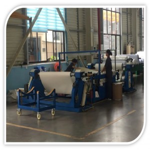 Release paper inspection machine